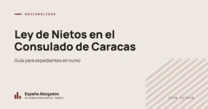 Ley de Nietos en el Consulado de Caracas: Guía para expedientes en curso