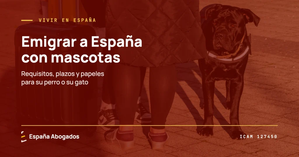 Viajero con su maleta y su perro: portada de España Abogados sobre emigrar a España con mascotas