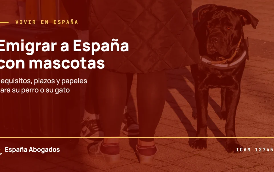 Viajero con su maleta y su perro: portada de España Abogados sobre emigrar a España con mascotas